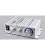 Lepy LP-2020A 12V Mini Hi-Fi Stereo Digital Audio Power Amplifier (UK)